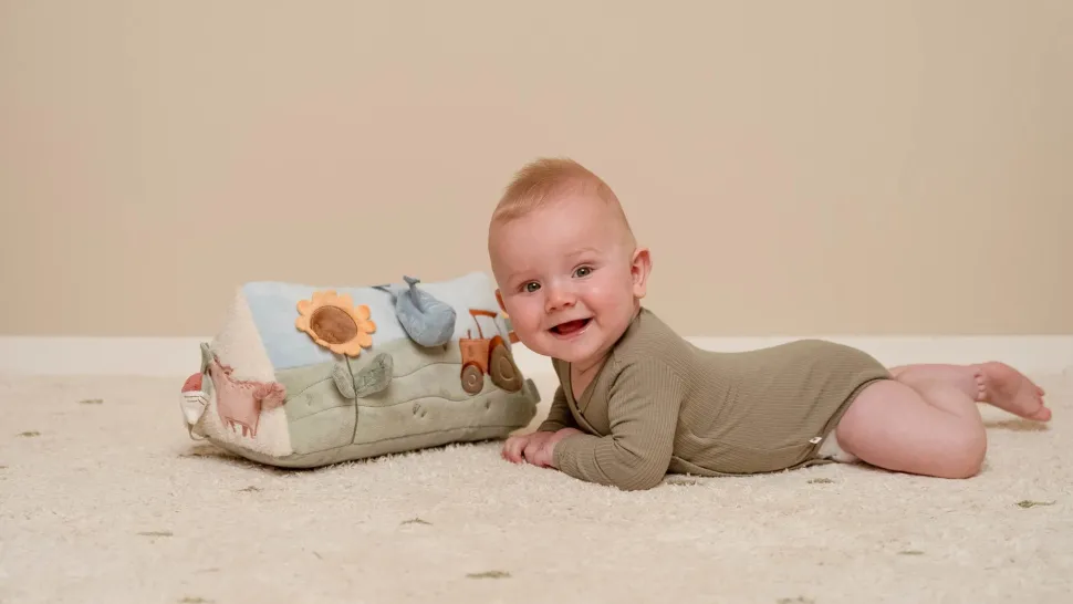 Activiteitendriehoek Little Farm