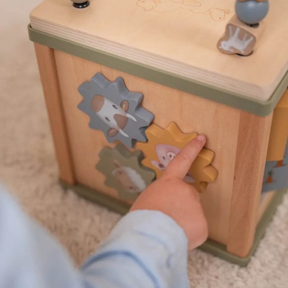 Activiteitenkubus Little Farm