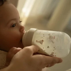 Babyfles 240 ml Little Goose