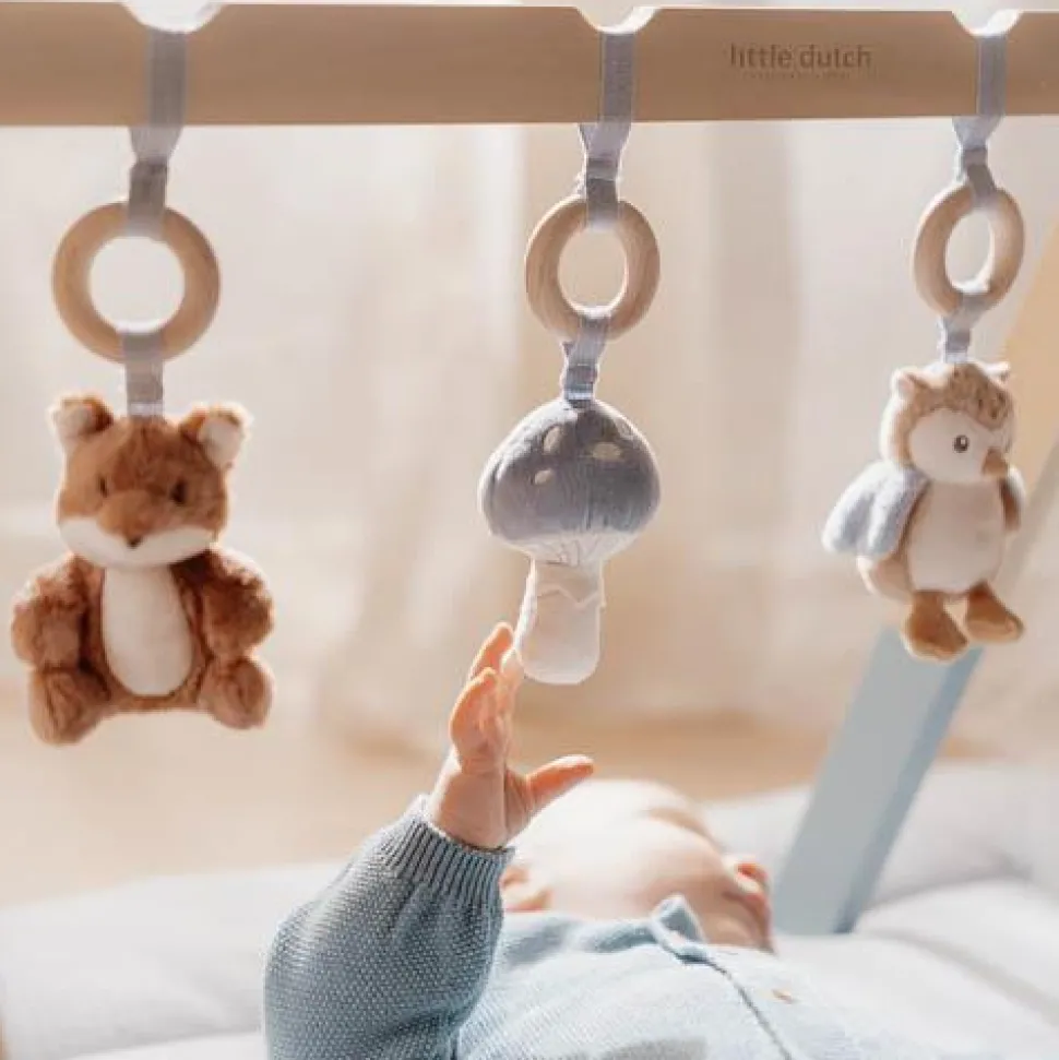 Babygym - Blauw - Forest Friends