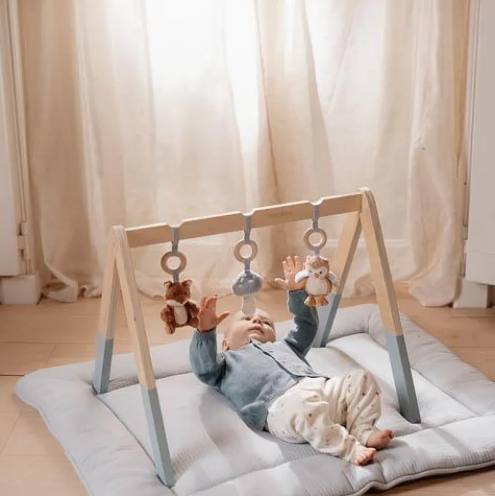 Babygym - Blauw - Forest Friends