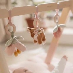 Babygym - Roze - Fairy Garden