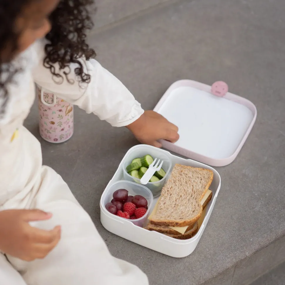 Bento Lunchbox groot Fairy Wonders