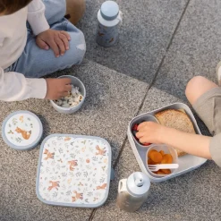 Bento Lunchbox groot Forest Friends