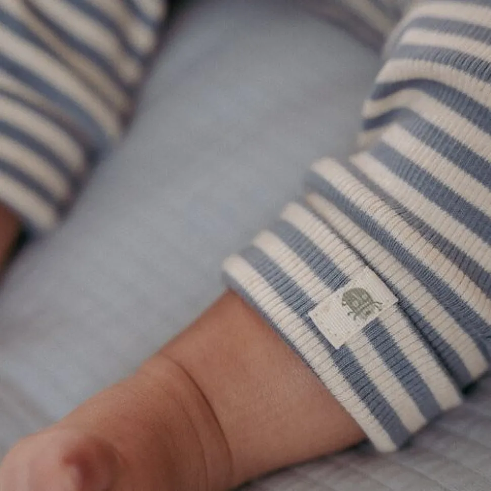 Boxpakje - Blauw - Forest Friends - Stripe