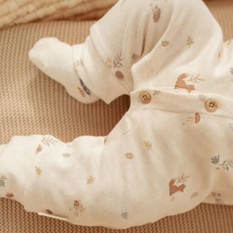 Boxpakje - Zand - Forest Friends