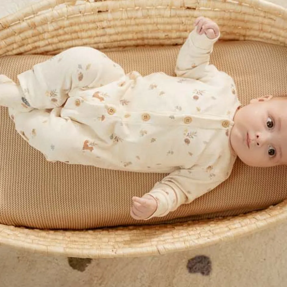 Boxpakje - Zand - Forest Friends