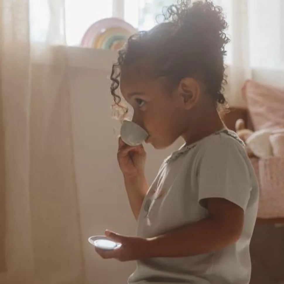 13-delige theeset - Fairy Garden