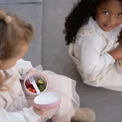 Fruitbox Campus 300 ml Fairy Garden