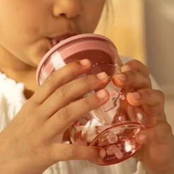 Kinderglas 250 ml Met Rietje Fairy Garden