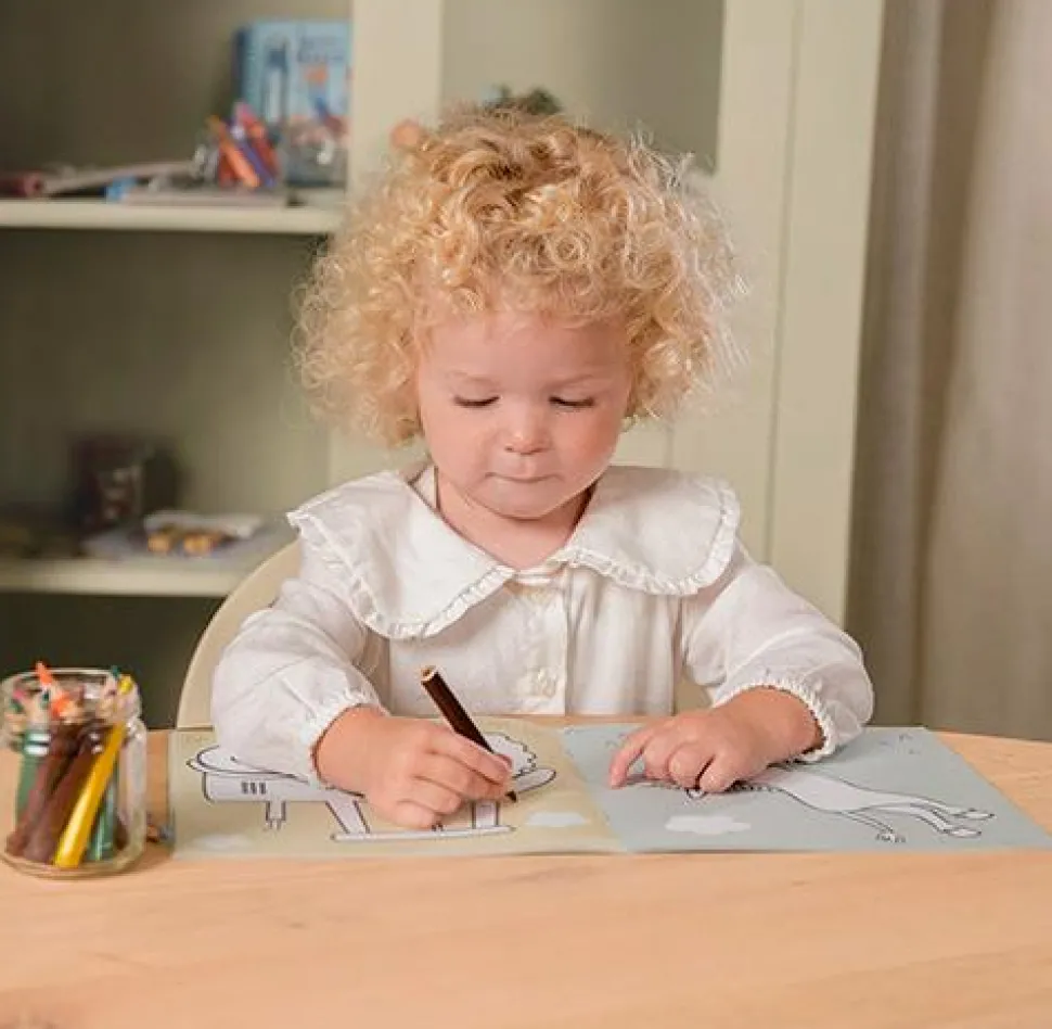 Kleurboek Little Farm