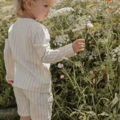 Korte broek - Groen - Forest Friends - Stripe