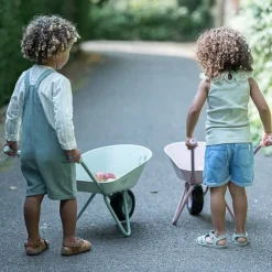 Kruiwagen - Roze - Fairy Garden