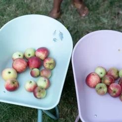 Kruiwagen - Roze - Fairy Garden