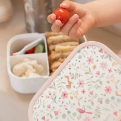 Lunchset Fairy Wonders