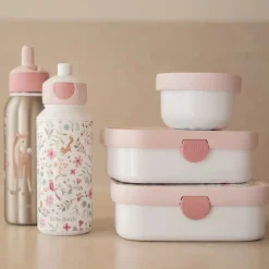 Lunchset Fairy Wonders