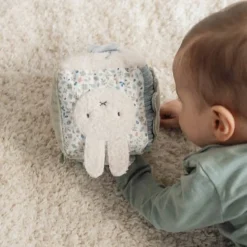 nijntje activiteitenkubus - Blauw - Lucky Leaves