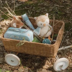 Rammelaar Paddenstoel - Blauw - Forest Friends