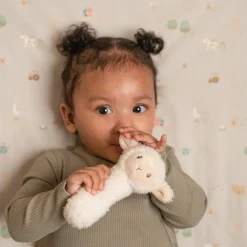 Rammelaar schaap Little Farm