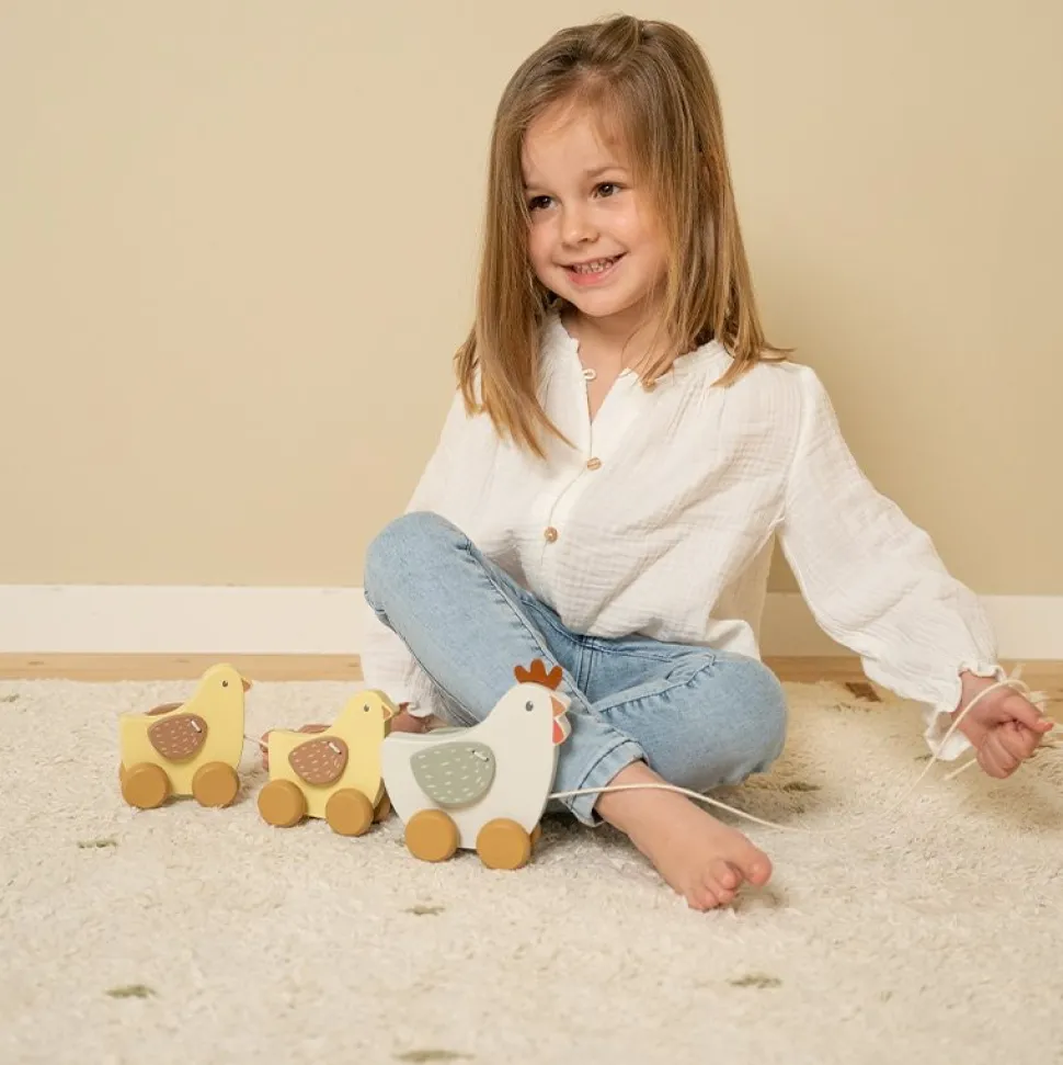 Trekdier kippen Little Farm