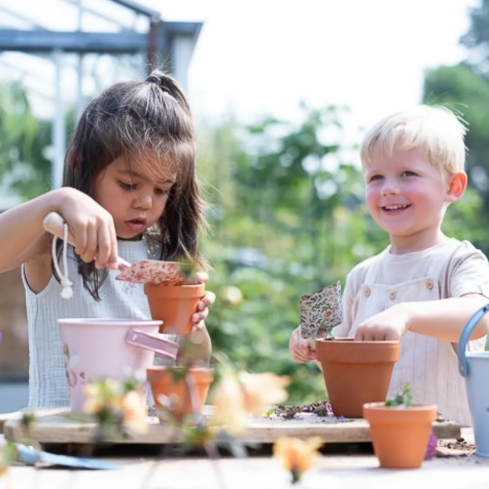 Tuin emmer - Roze - Fairy Garden